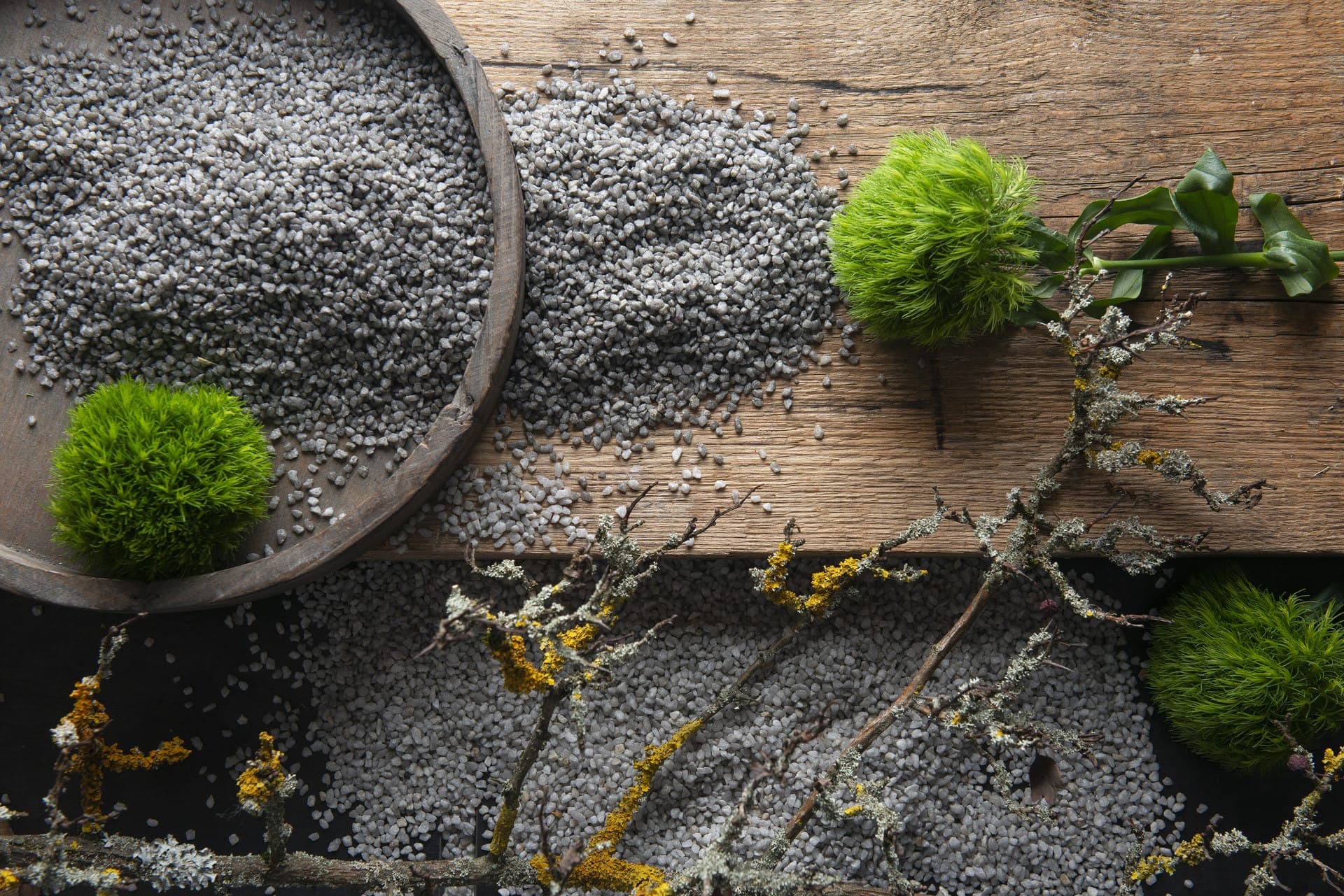 Plantarrangementen & Interieur